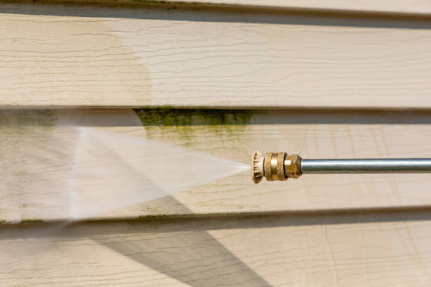 Best Pressure Washing Contractors  in Altadena, CA